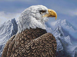 New Painting Kit  Eagle Home Decor - Animals Aso