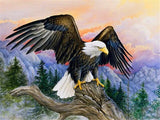 New Painting Kit  Eagle Home Decor - Animals Aso