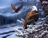 New Painting Kit  Eagle Home Decor - Animals Aso