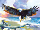 New Painting Kit  Eagle Home Decor - Animals Aso