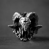 2022 New Vintage Skull Rings - Animals Aso