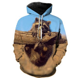 New Cute Funny 3D Print Hoodie Raccoon - Animals Aso