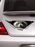 New Raccoon Waterproof Car Sticker - Animals Aso