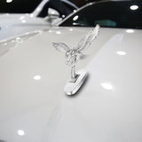 New Car Front Hood Eagle Decoration - Animals Aso