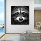 New Cute Raccoon Art Picture Decoration - Animals Aso