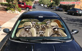 New Stunning Car Sunshade Raccoon - Animals Aso