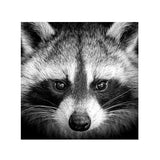 New Cute Raccoon Art Picture Decoration - Animals Aso