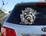  New Fashion Raccoon Car Stickers - Animals Aso