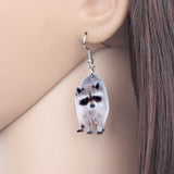 2022 New Lovely Raccoon Earrings - Animals Aso