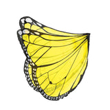 New Butterfly Wings For Kids